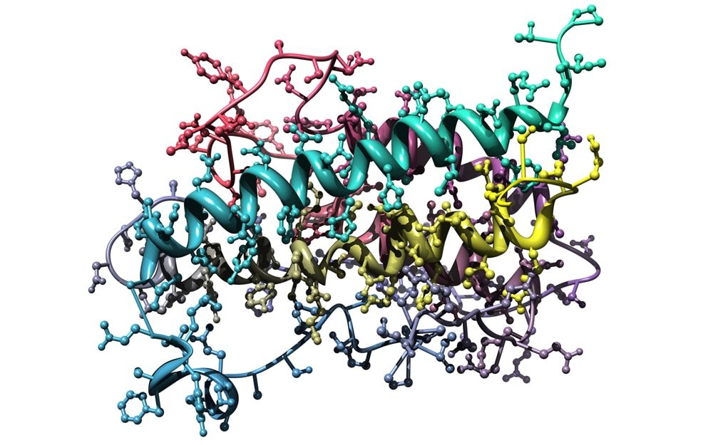 Growth Hormone–Related Peptides (HGH Secretagogues)