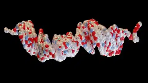 Neuropeptides for Mood
